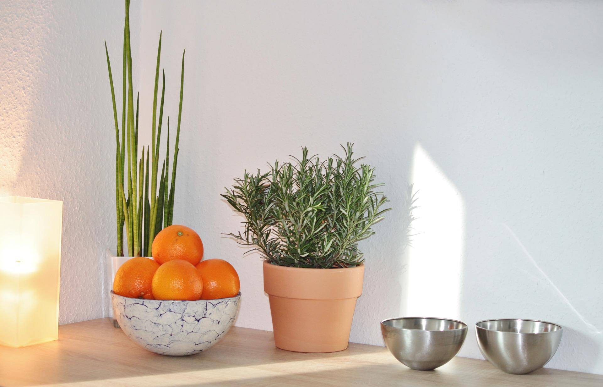 How to Grow Your Own Indoor Kitchen Herb Garden