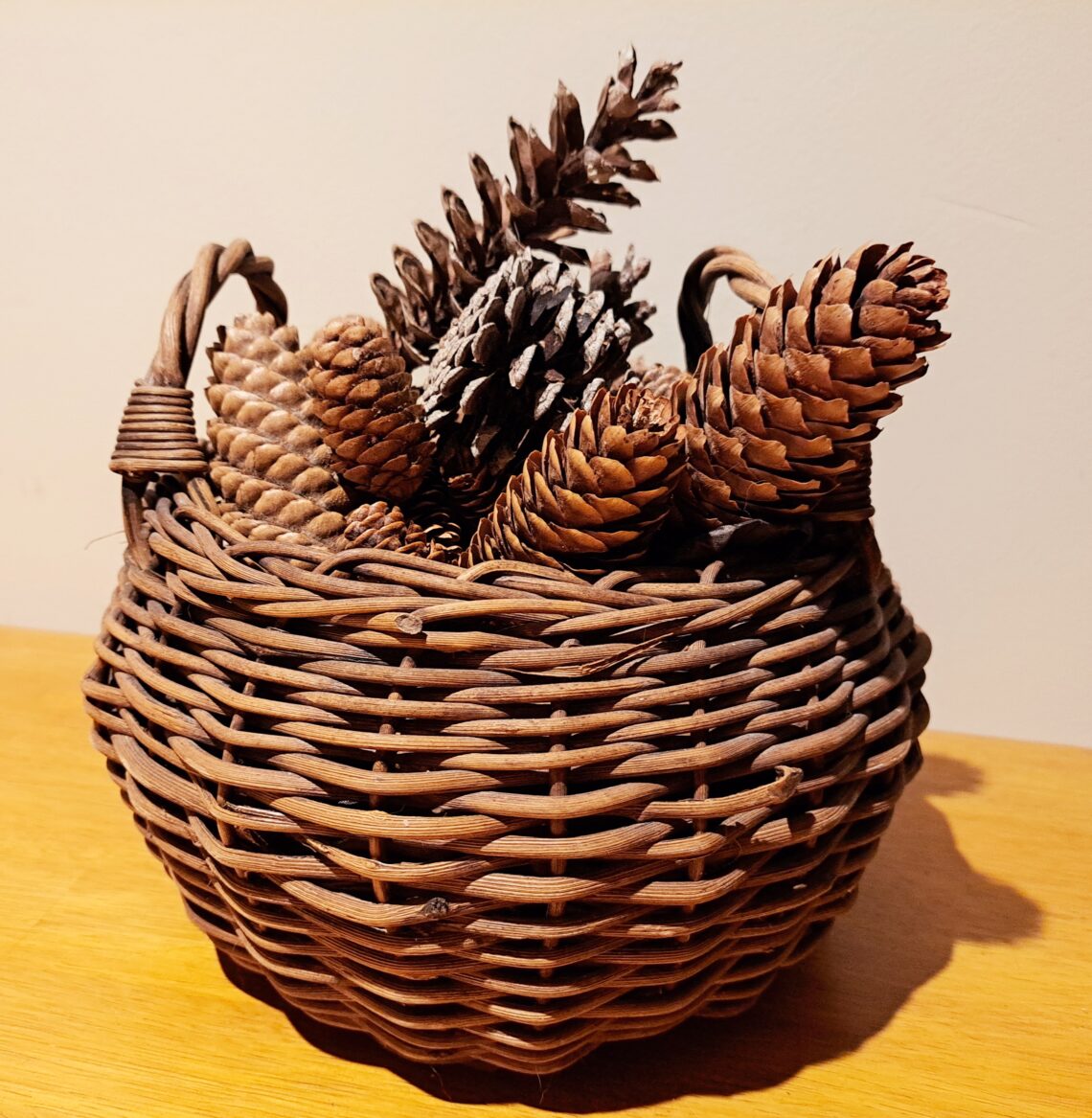 Willow and grape vine are some of the most popular basket making supplies to forage!