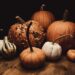 DIY Halloween decorations and other eco-friendly ways to celebrate spooky season!