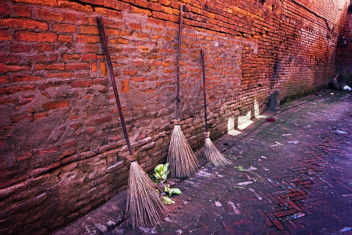 How to make a DIY broom and what plants to grow for broom making!