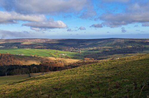 Rewilding movements are taking place across areas like the Yorkshire Dales, England.