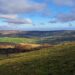 Rewilding movements are taking place across areas like the Yorkshire Dales, England.